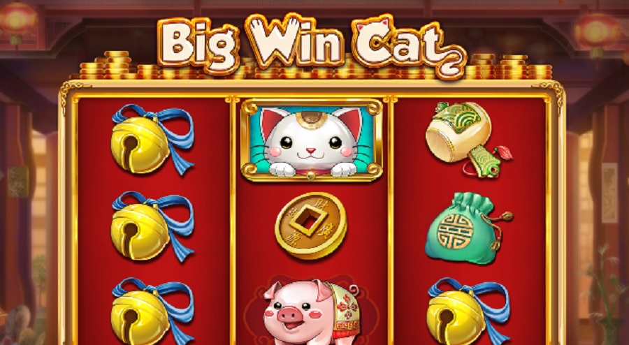 Big Win Cat